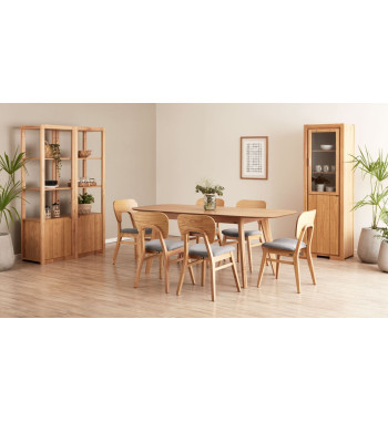 JUEGO DE COMEDOR 5